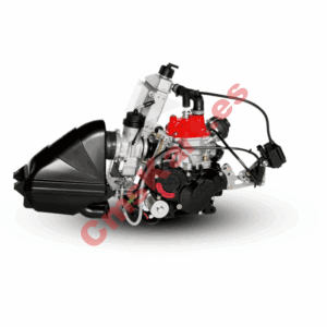Piezas Rotax MAX (Micro, Mini, Junior, Senior)